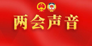 全国人大代表：建议网文用制式合同规范版权
