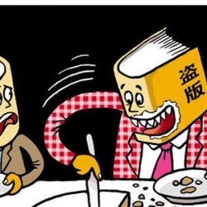 打击盗版，推出制式合同 代表、委员为网文发展支招