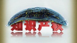 国家知识产权局明确商标侵权判断标准