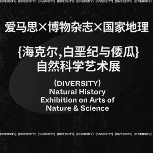 「海克尔,白垩纪与倭瓜」自然科学艺术展